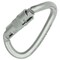 Kong Usa Oval, 108 mm Length, 17 mm Gate Opening, Carbon steel, Lunar White 414LP0999KK - alternate 2